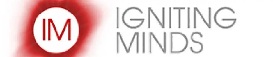 Psychotherapy and Developmental Coaching for Professionals, Leaders and High Achievers